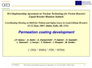 IEA Implementing Agreement on Nuclear Technology for Fusion Reactors