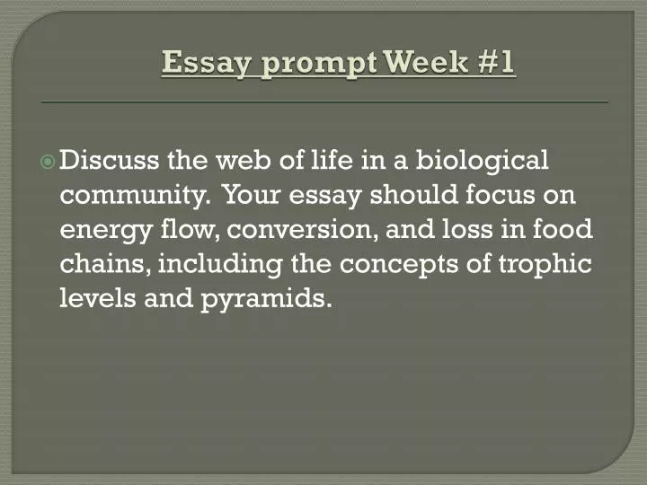 essay prompt week 1
