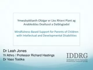 dr leah jones yr athro professor richard hastings dr vaso tostika