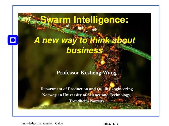 swarm intelligence a new way to think about business