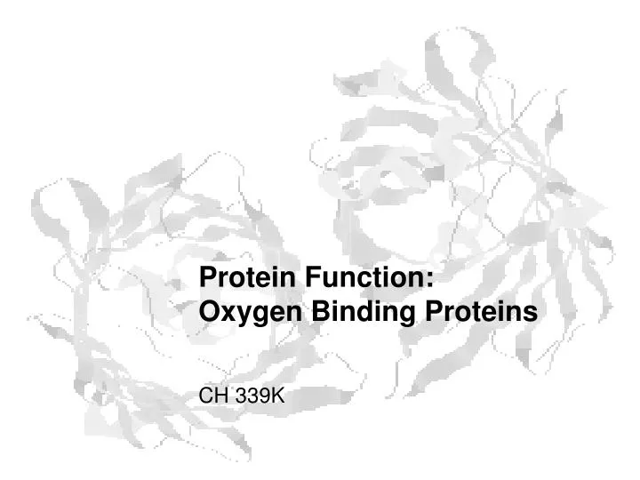 protein function oxygen binding proteins