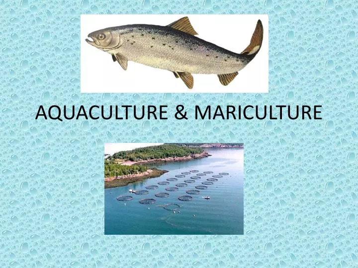 aquaculture mariculture