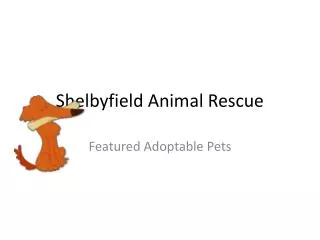 Shelbyfield Animal Rescue