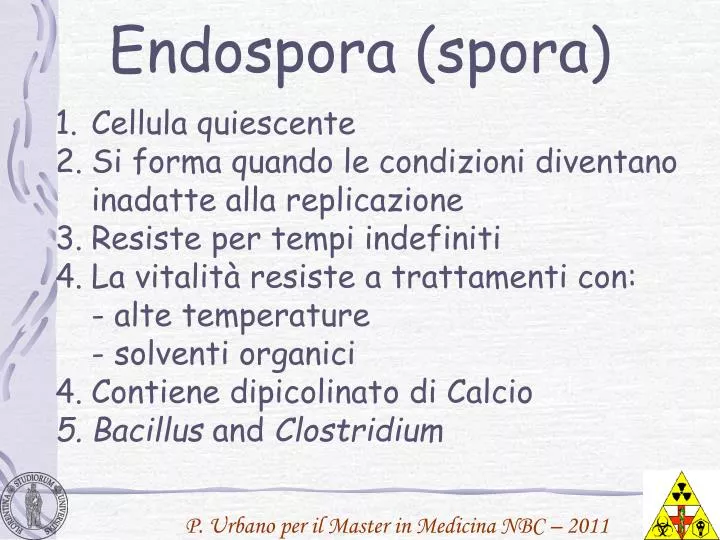 endospora spora