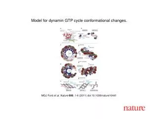 MGJ Ford et al . Nature 000 , 1 - 6 (2011) doi:10.1038/nature10441