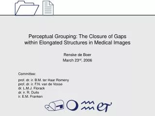 Perceptual Grouping: The Closure of Gaps within Elongated Structures in Medical Images