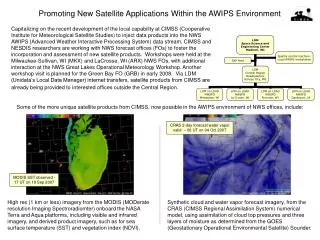 Promoting New Satellite Applications Within the AWIPS Environment