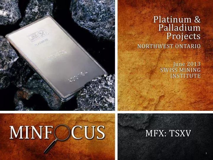 platinum palladium projects