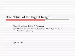 The Nature of the Digital Image