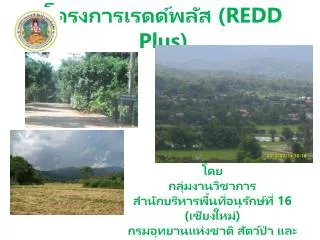 redd plus