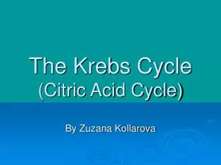 The Krebs Cycle (Citric Acid Cycle)