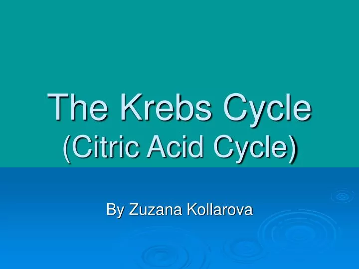 the krebs cycle citric acid cycle