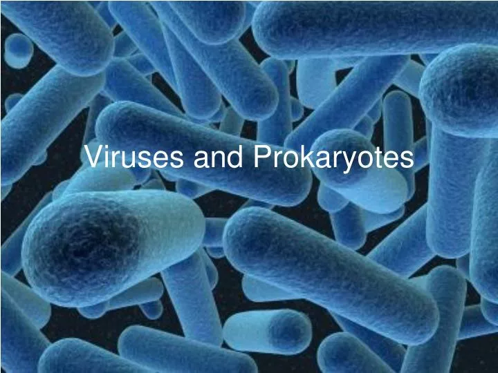 viruses and prokaryotes