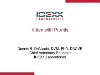 Kitten with Pruritis