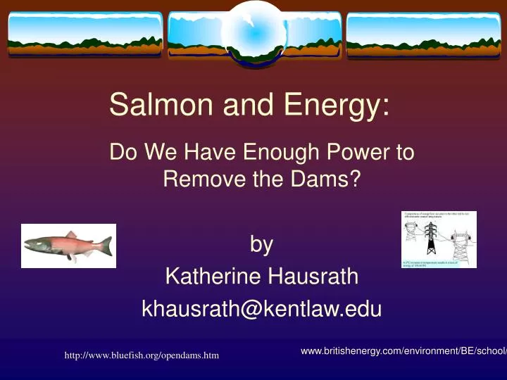 salmon and energy
