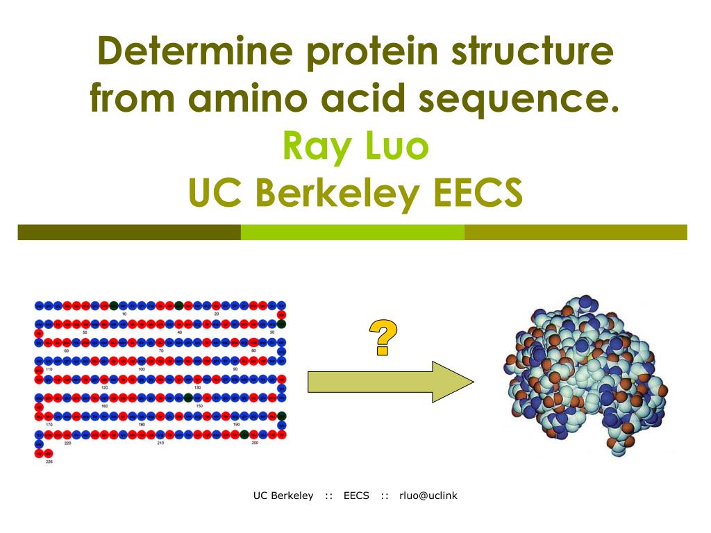 PPT - Determine protein structure from amino acid sequence. Ray Luo UC ...