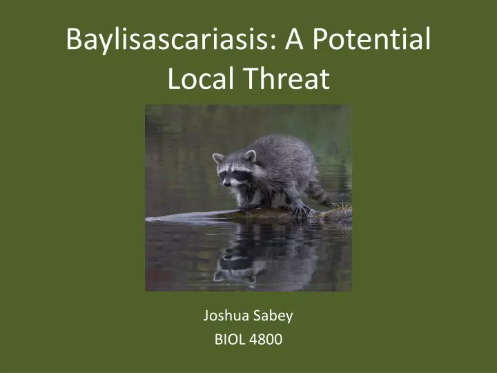 baylisascariasis a potential local threat