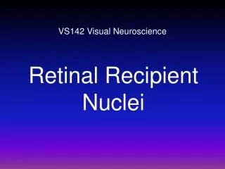 vs142 visual neuroscience
