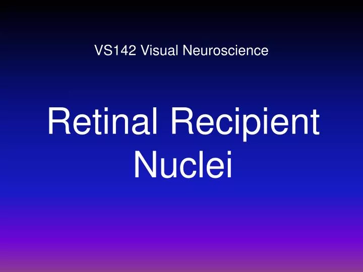 vs142 visual neuroscience