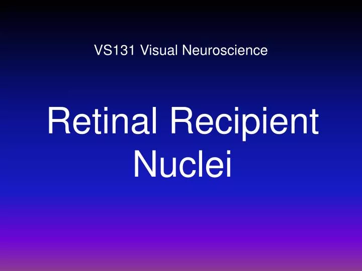vs131 visual neuroscience