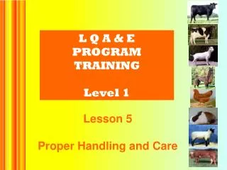 L Q A &amp; E PROGRAM TRAINING Level 1