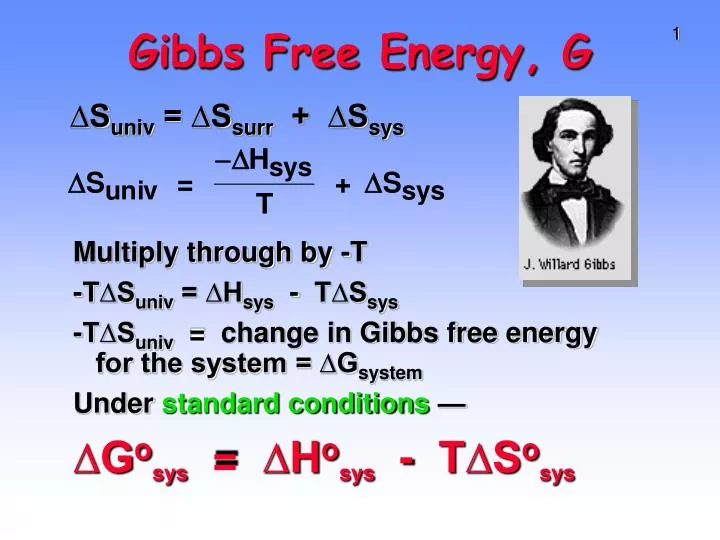 gibbs free energy g