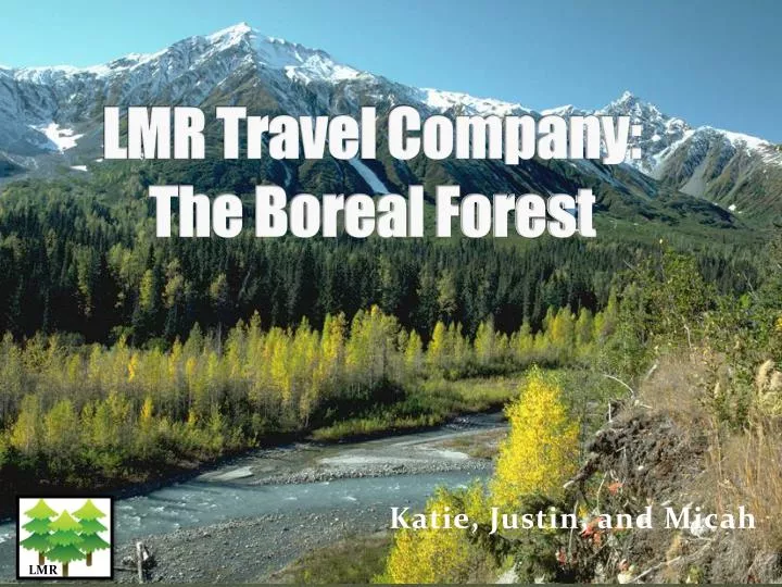 lmr travel company the boreal forest