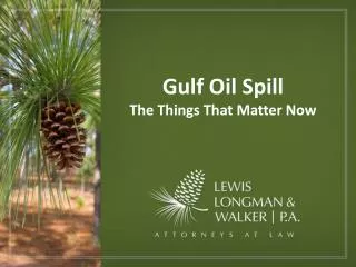 Gulf Oil Spill The Things That Matter Now