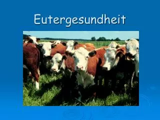 eutergesundheit
