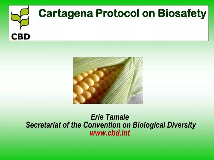 erie tamale secretariat of the convention on biological diversity www cbd int