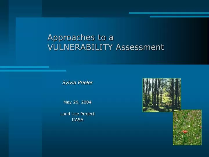 approaches to a vulnerability assessment