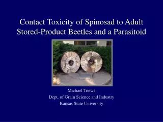 Contact Toxicity of Spinosad to Adult Stored-Product Beetles and a Parasitoid