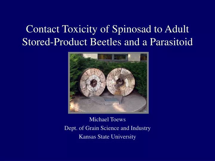 contact toxicity of spinosad to adult stored product beetles and a parasitoid