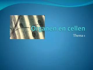 organen en cellen