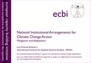 National Institutional Arrangements for Climate Change Action Mitigation and Adaptation