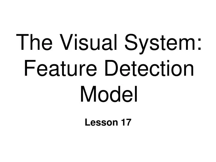 the visual system feature detection model