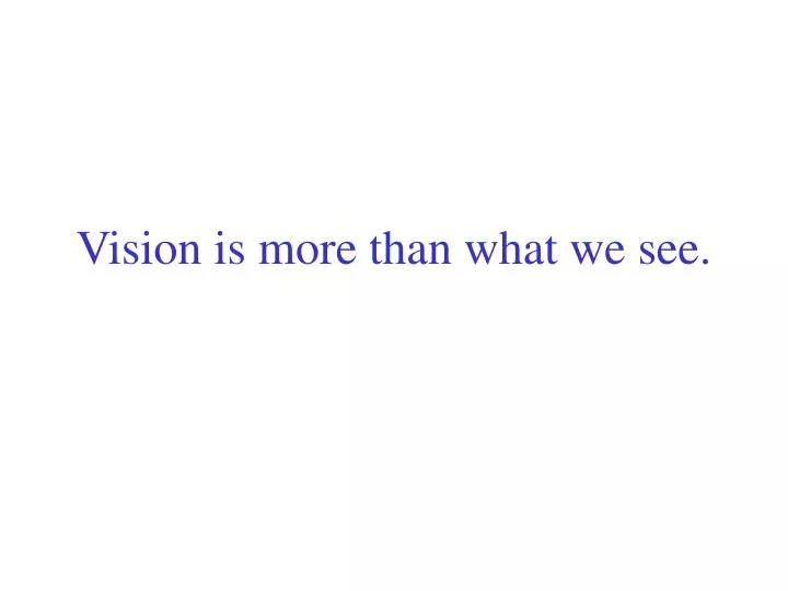 vision is more than what we see