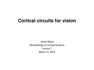 Cortical circuits for vision