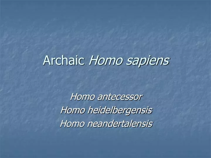 archaic homo sapiens
