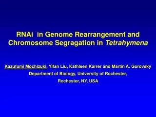 RNAi in Genome Rearrangement and Chromosome Segragation in Tetrahymena