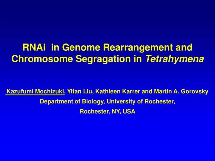 rnai in genome rearrangement and chromosome segragation in tetrahymena