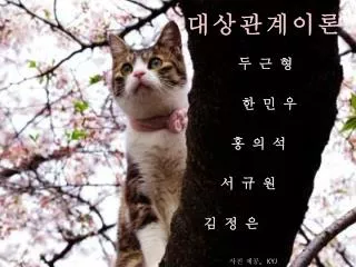대상관계이론