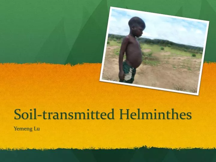 soil transmitted helminthes
