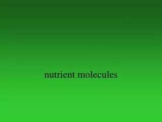 nutrient molecules