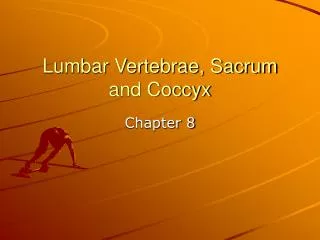 Lumbar Vertebrae, Sacrum and Coccyx