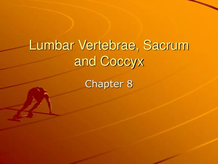 lumbar vertebrae sacrum and coccyx