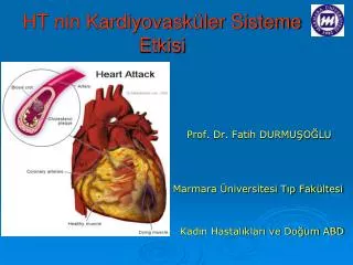 ht nin kardiyovask ler sisteme etkisi
