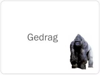gedrag