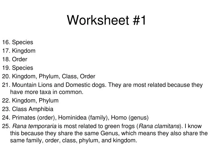 worksheet 1