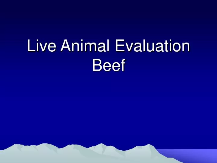 live animal evaluation beef